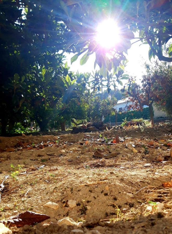 La Caseta Benimantell Dış mekan fotoğraf