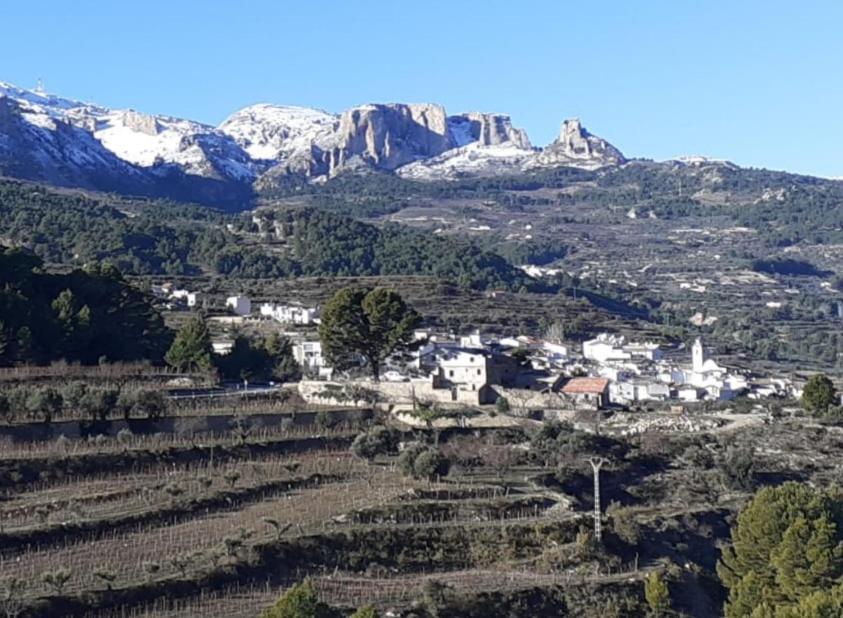 La Caseta Benimantell Dış mekan fotoğraf